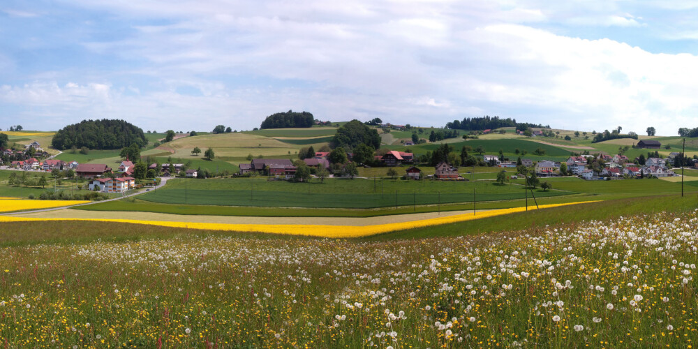 Panorama Fischbach116334
